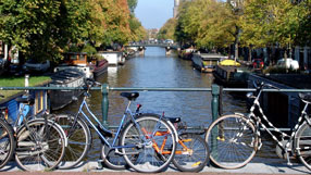 Useful facts about the Dutch language