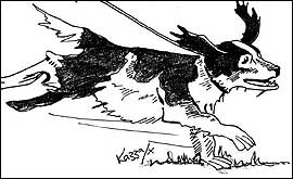 Gnasher - image copyright of Karen Brockhouse