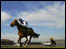 Horse racing at Cheltenham (Getty Images)