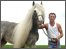 Gypsy horse