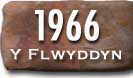 Blwyddyn