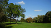 Summer park