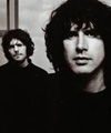 Super Furry Animals