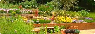 Hot spot garden