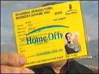 Fake SAWS permit
