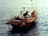 shipping forecast