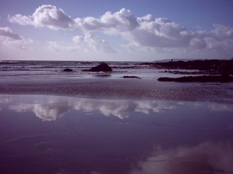 Portwrinkle