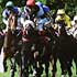 Horse racing