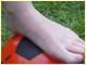 foot