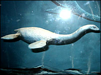 You might have seen pleiosaurs in Swindon's Jurassic Sea 