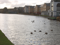 Bude Canal