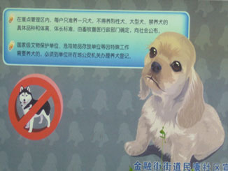 'No big dogs' sign.