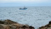 A fishing boat off the coast of Fife's East Neuk