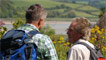 views over the estuary