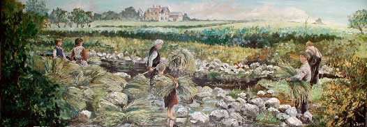 Dunseverick Flax Dam. Original painting by Brian Willis