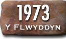 Blwyddyn