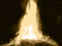 The Beacon