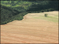 Desmatamento no Mato Grosso