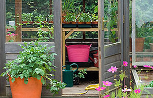 Greenhouse