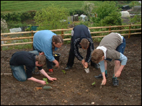 Hard working youngsters