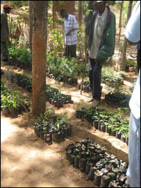 Markey in Kenya