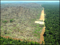 Amazônia