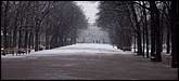 Jardin de Luxembourg