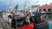Pittenweem harbour