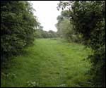 The Severn Way
