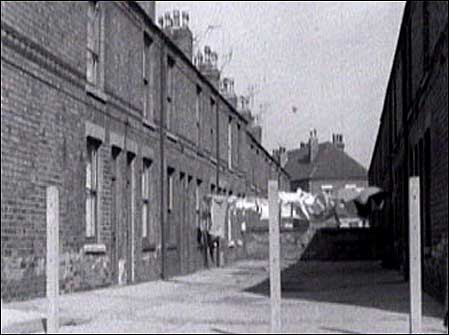 The Meadows housing