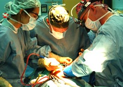 Surgeon
