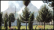 نننی برید