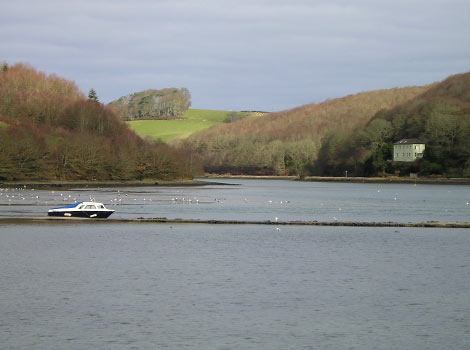 Looe  estuary