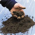 Loamy soil