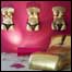 Ambiente da Casa Cor