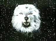 Wolf from the title sequence. See it in RealMedia.