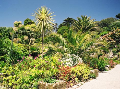Abbey Gardens - Tresco