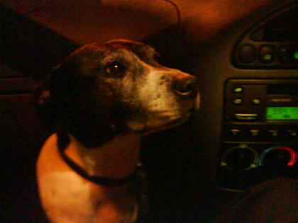 Can i drive?