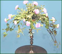 fill in the ramainder of the oasis with flowers