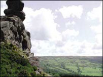 The Roaches