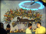 El Divino's Bar