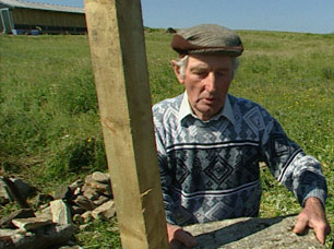 Seonaidh Dòmhnallach