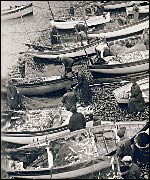 Picarooners