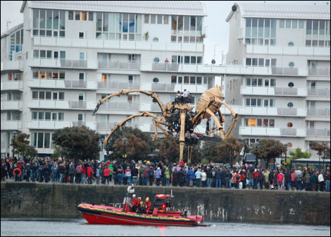 The spider emerges