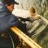 The enormous 60lb+ salmon caught and released by Mike Crosby on the Restigouche River in 1988