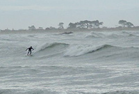 Sumner