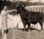 Brenda James yn arddangos Y Tarw (tua 1941) Llun trwy garedigrwydd Brenda James