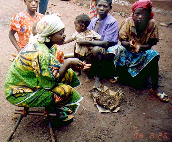 Eating cooked Termites
