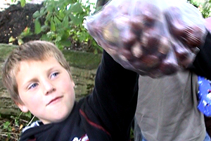 David, Isaac, Ethan and Caleb are collecting conkers in the woods. 
They've found so many that they're not sure what to do with them all.