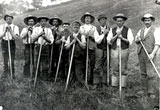 Image of men in field with hoes